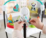 Fisher Price Animal Wonders Jumperoo