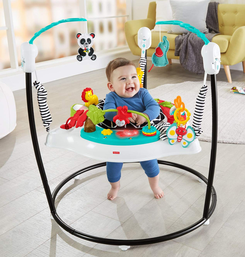 Fisher Price Animal Wonders Jumperoo