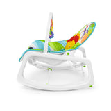 Fisher Price Infant To Toddler Rocker