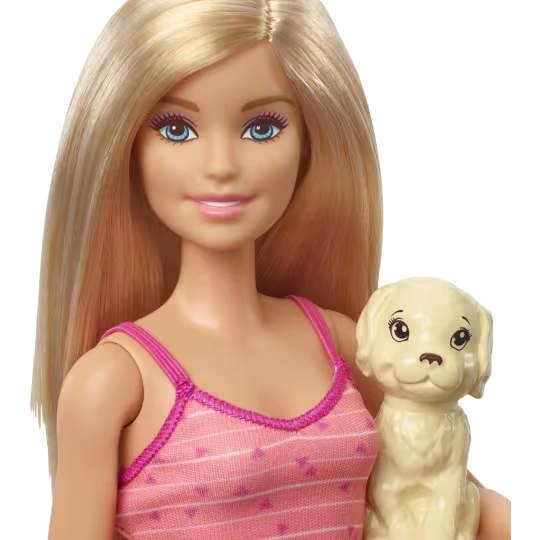 Barbie Doll, Blonde, And Playset With 3 Puppies, Bathtub And Accessories