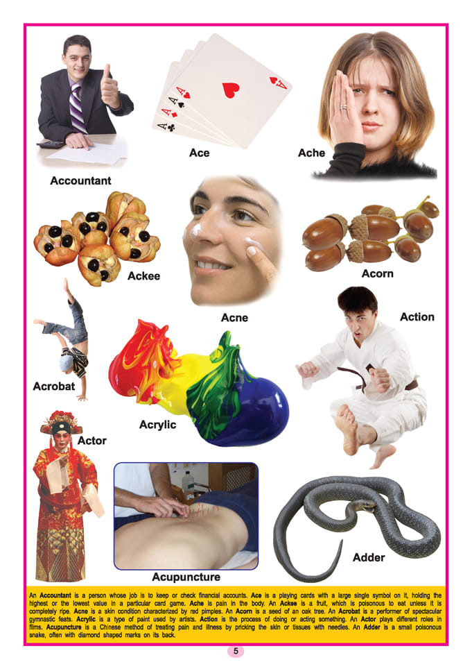 Dreamland Publications - Kids Third  Dictionary of 2000 words