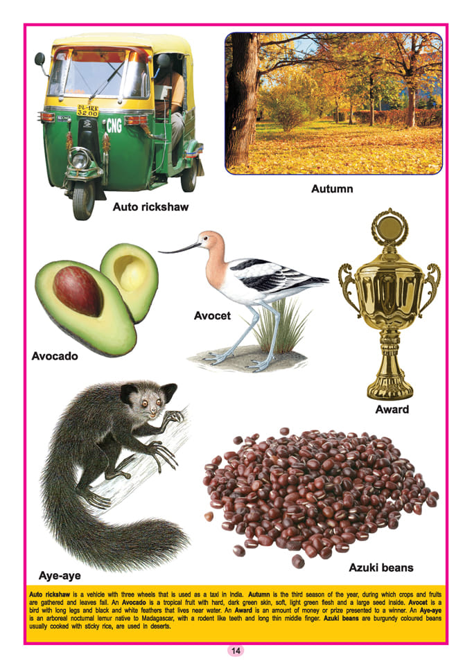 Dreamland Publications - Kids Third  Dictionary of 2000 words