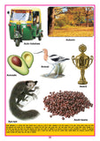 Dreamland Publications - Kids Third  Dictionary of 2000 words