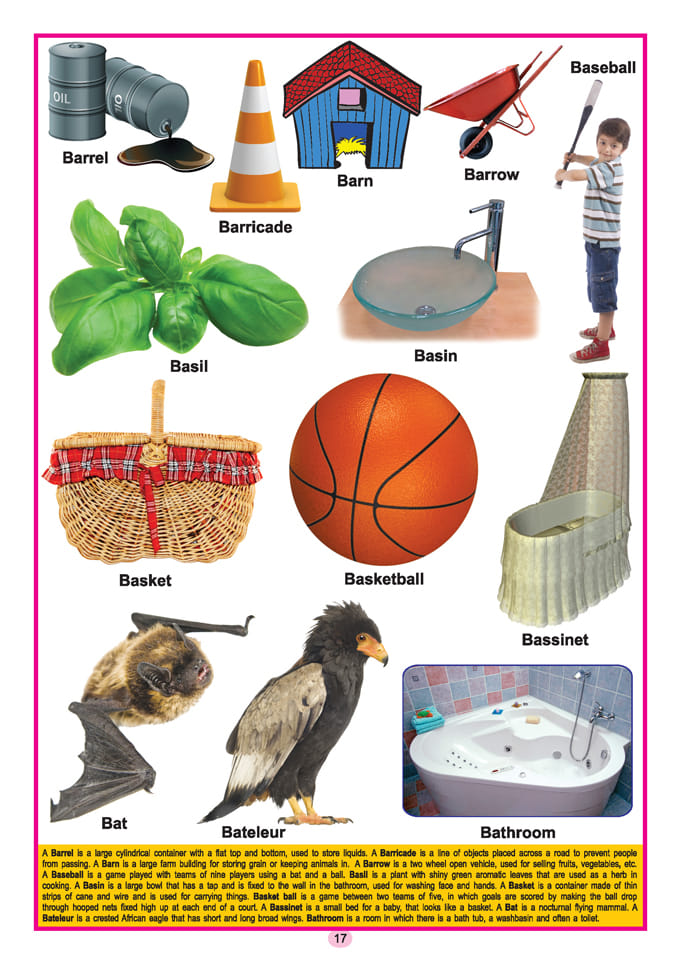 Dreamland Publications - Kids Third  Dictionary of 2000 words