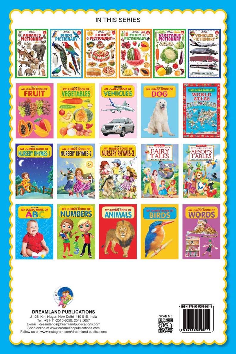 Dreamland Publications - My Jumbo Birds Pictionary