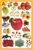 Dreamland Publications - My Jumbo Fruit Pictionary