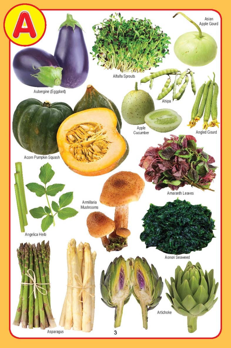 Dreamland Publications - My Jumbo Vegetables Pictionary