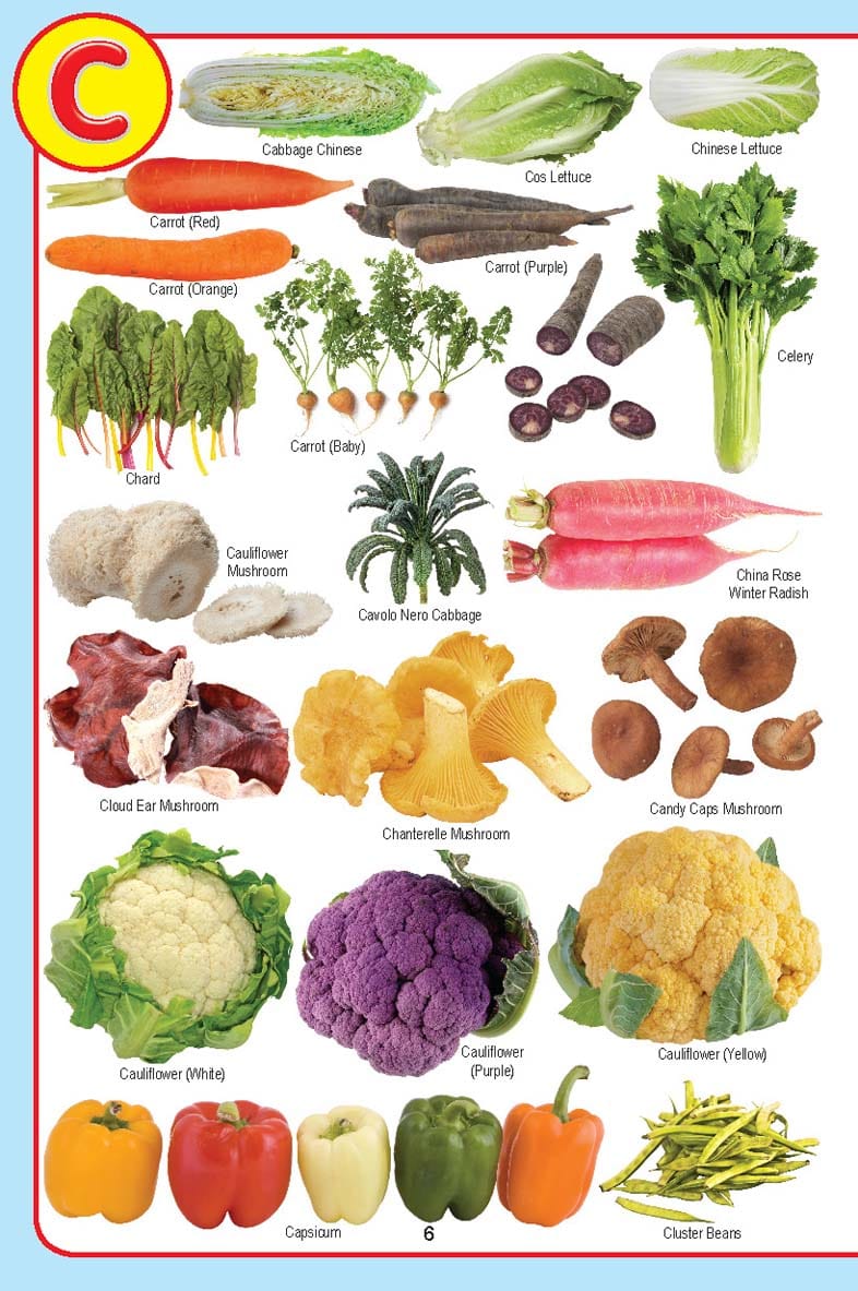 Dreamland Publications - My Jumbo Vegetables Pictionary