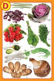 Dreamland Publications - My Jumbo Vegetables Pictionary