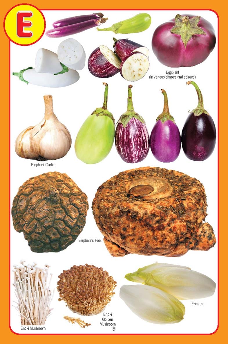 Dreamland Publications - My Jumbo Vegetables Pictionary