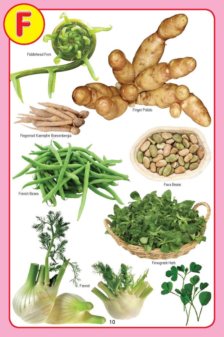 Dreamland Publications - My Jumbo Vegetables Pictionary