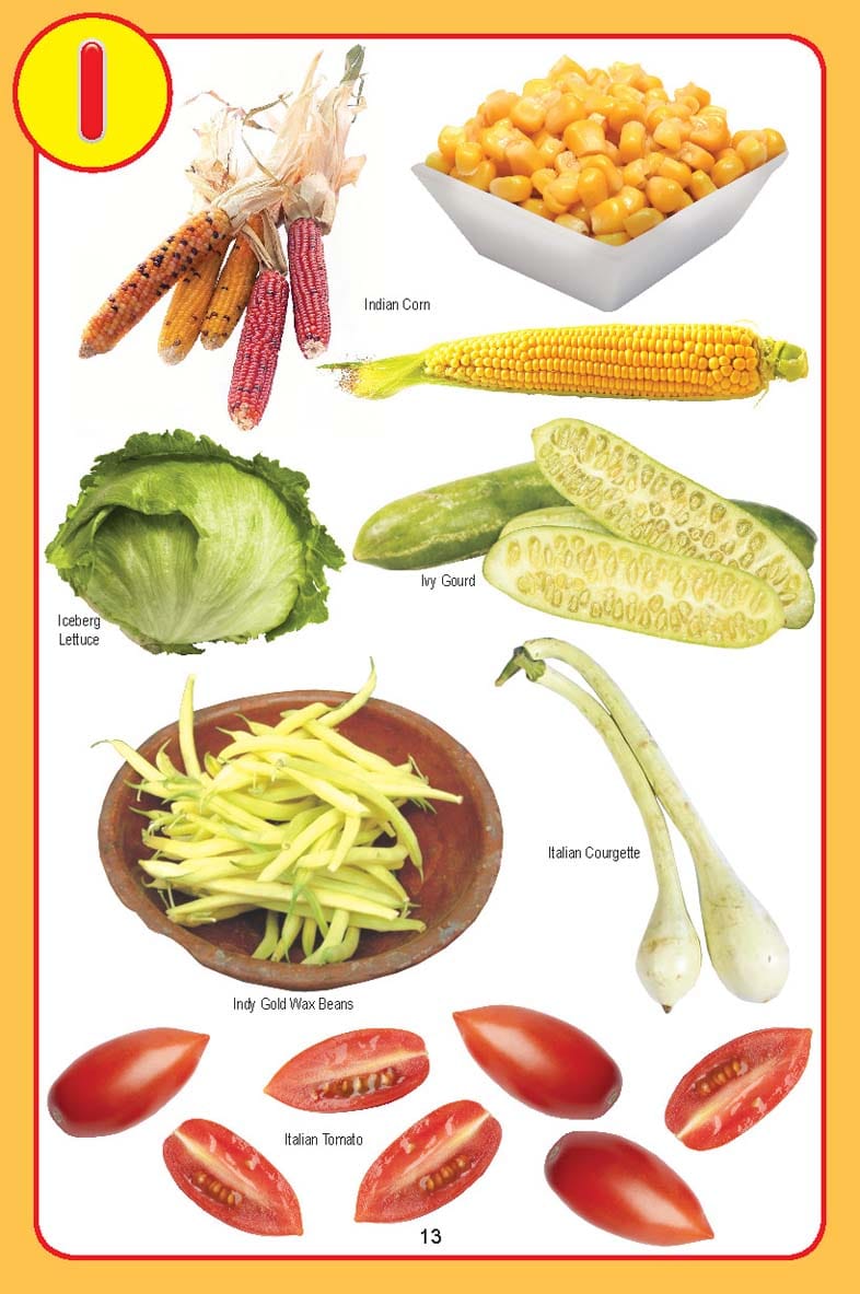 Dreamland Publications - My Jumbo Vegetables Pictionary