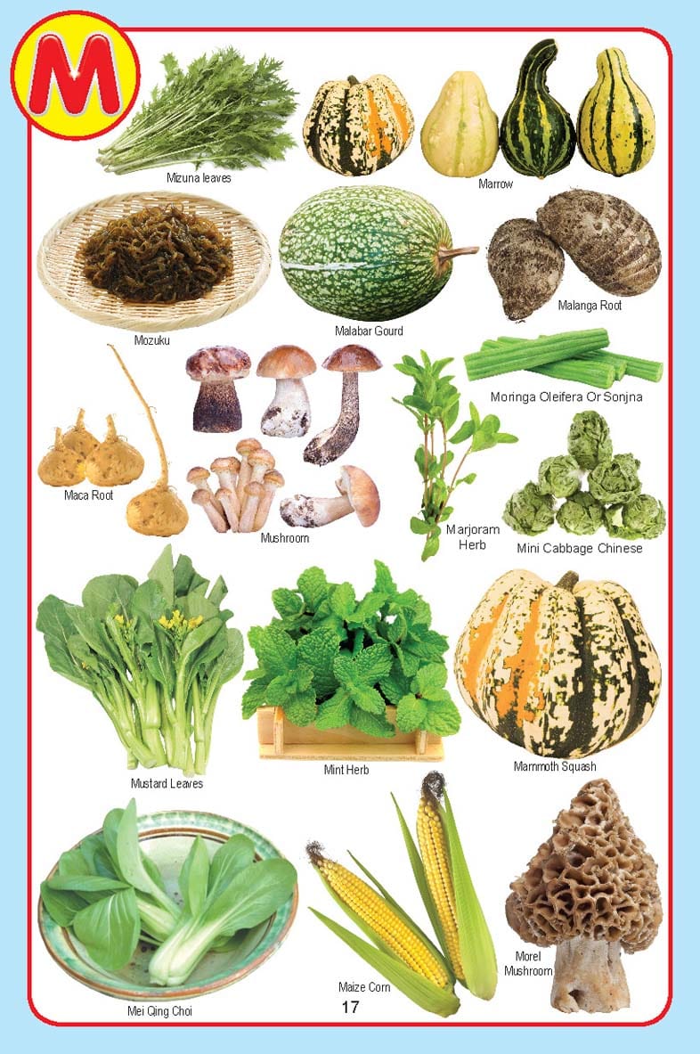 Dreamland Publications - My Jumbo Vegetables Pictionary