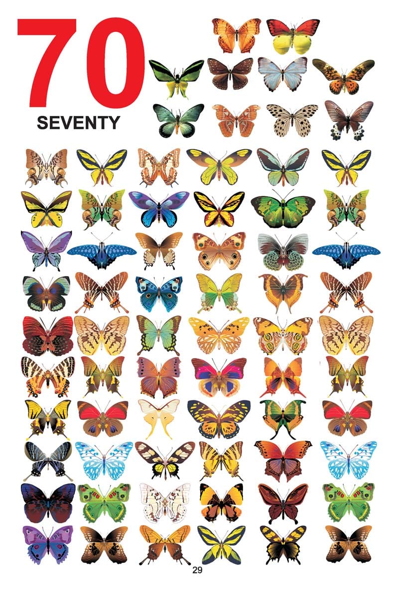 Dreamland Publications - My Jumbo Book - NUMBERS