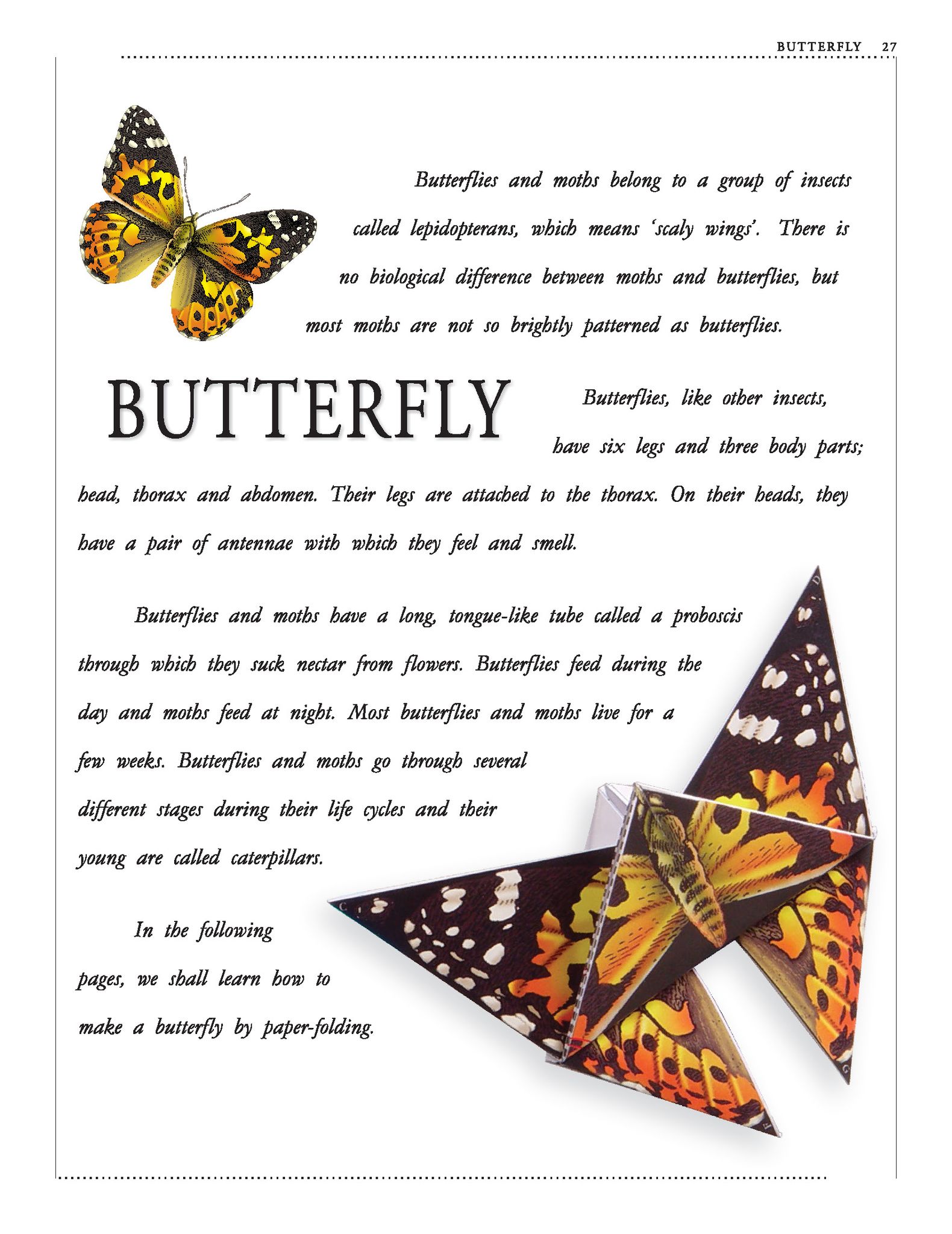 Dreamland Publications - Paper Folding Part 2