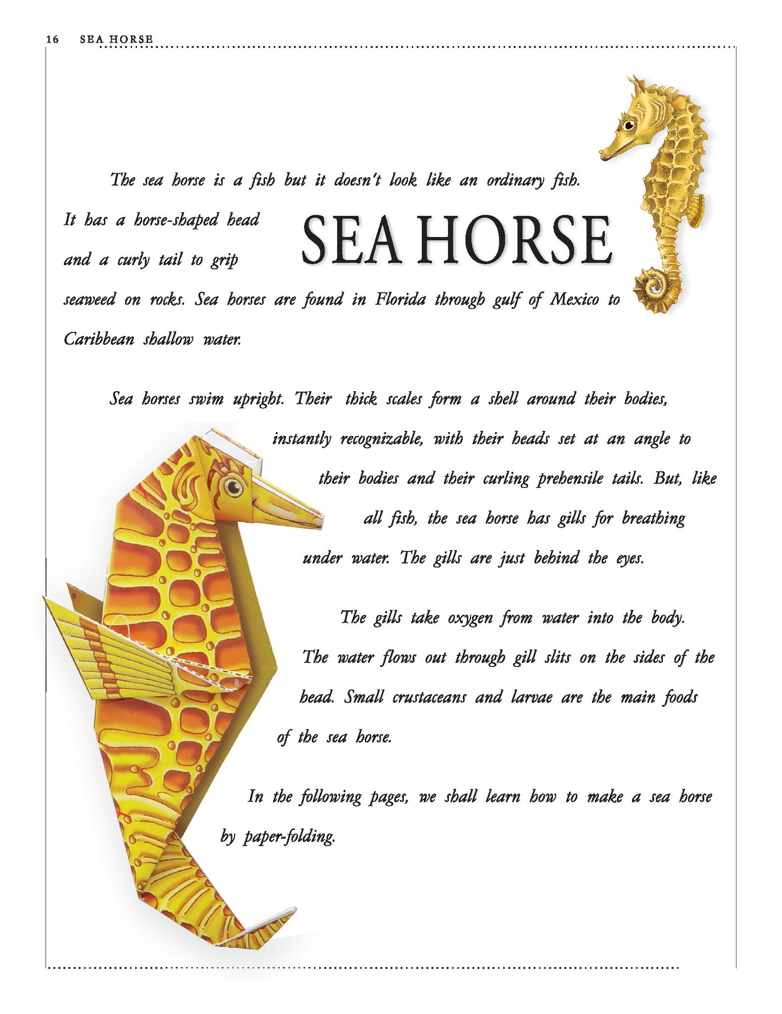 Dreamland Publications - Paper Folding Part 3