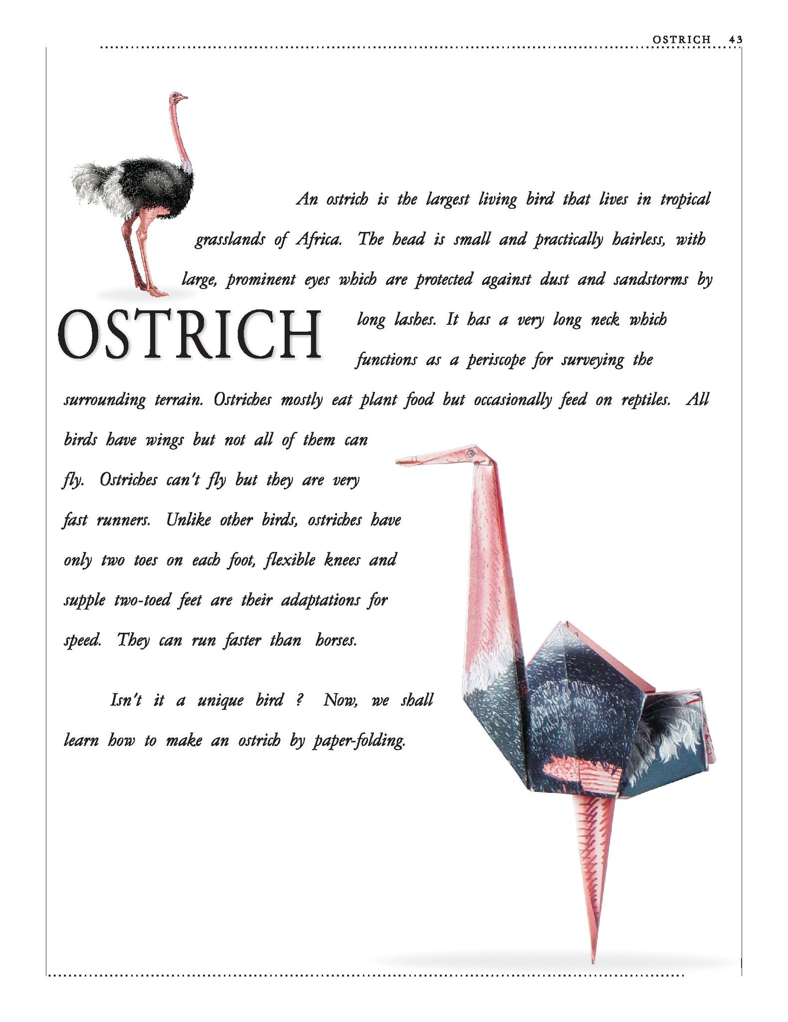 Dreamland Publications - Paper Folding Part 4