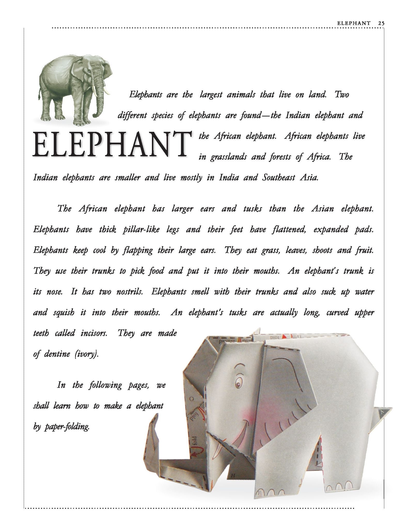 Dreamland Publications - Paper Folding Part 5
