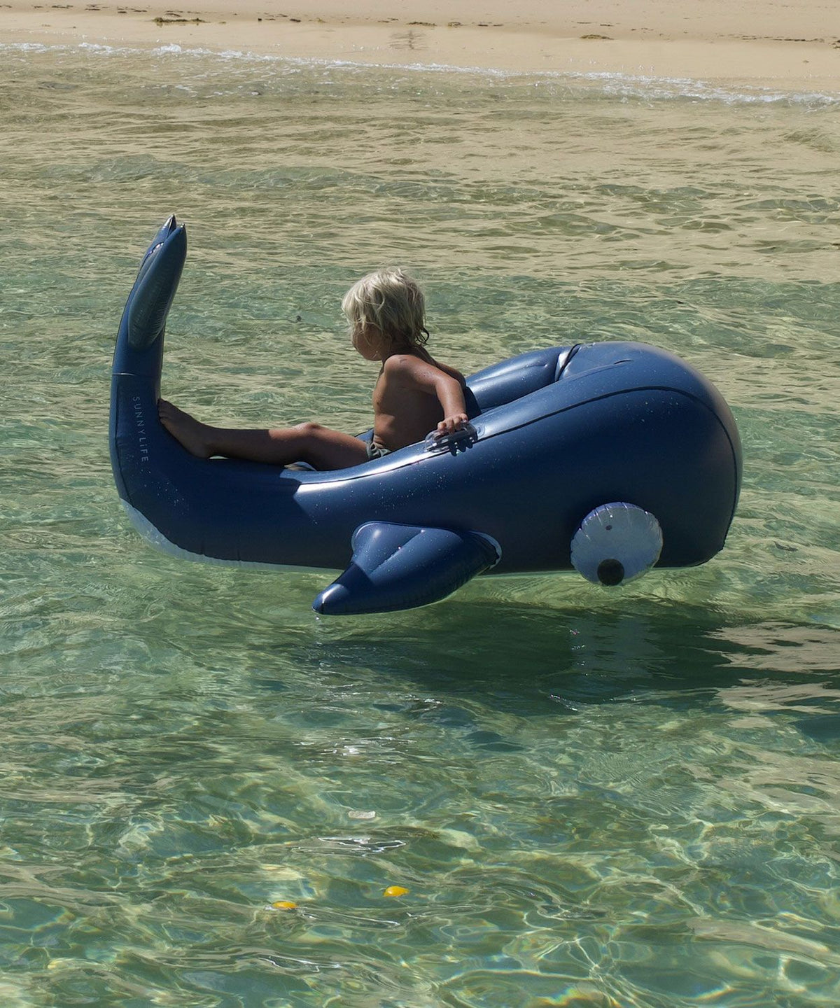 SUNNYLiFE Luxe Ride-On Float Moby Dick Navy