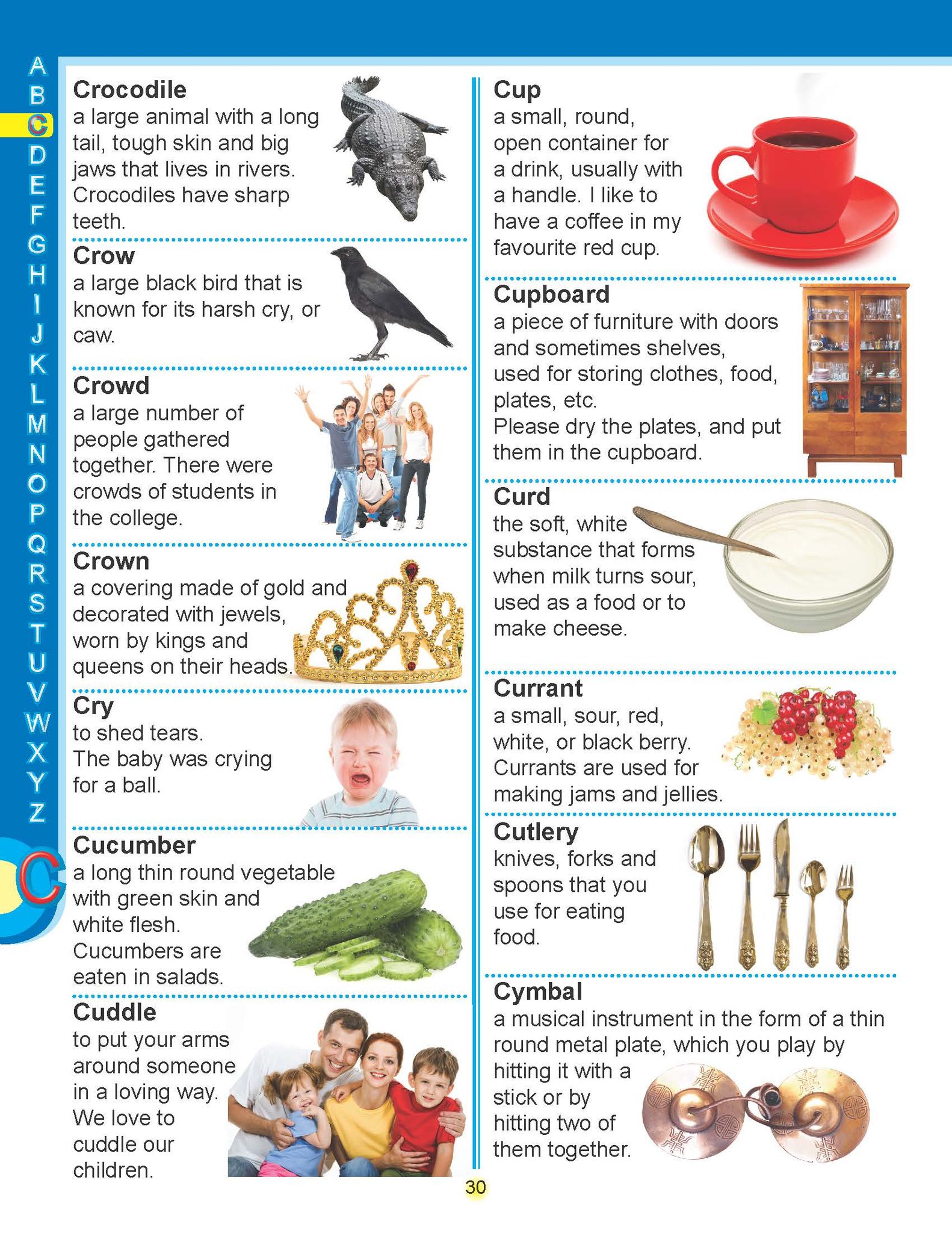 Dreamland Publications - Super Picture Dictionary