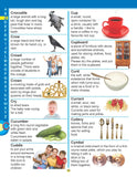 Dreamland Publications - Super Picture Dictionary