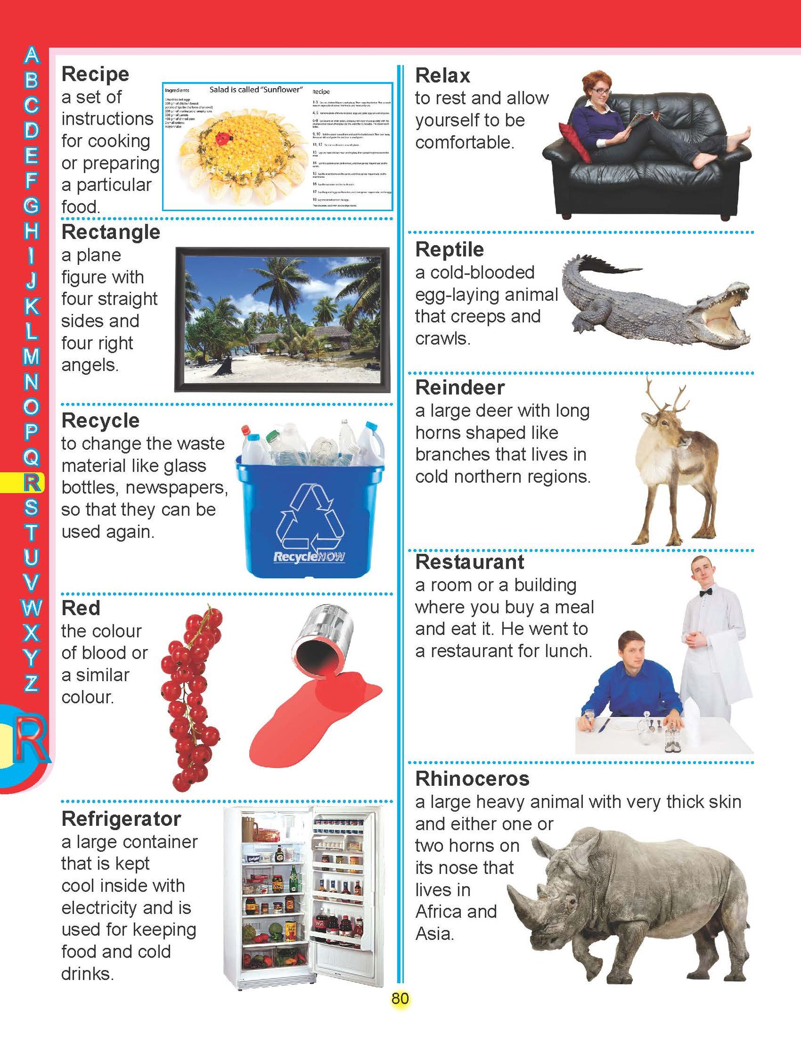 Dreamland Publications - Super Picture Dictionary