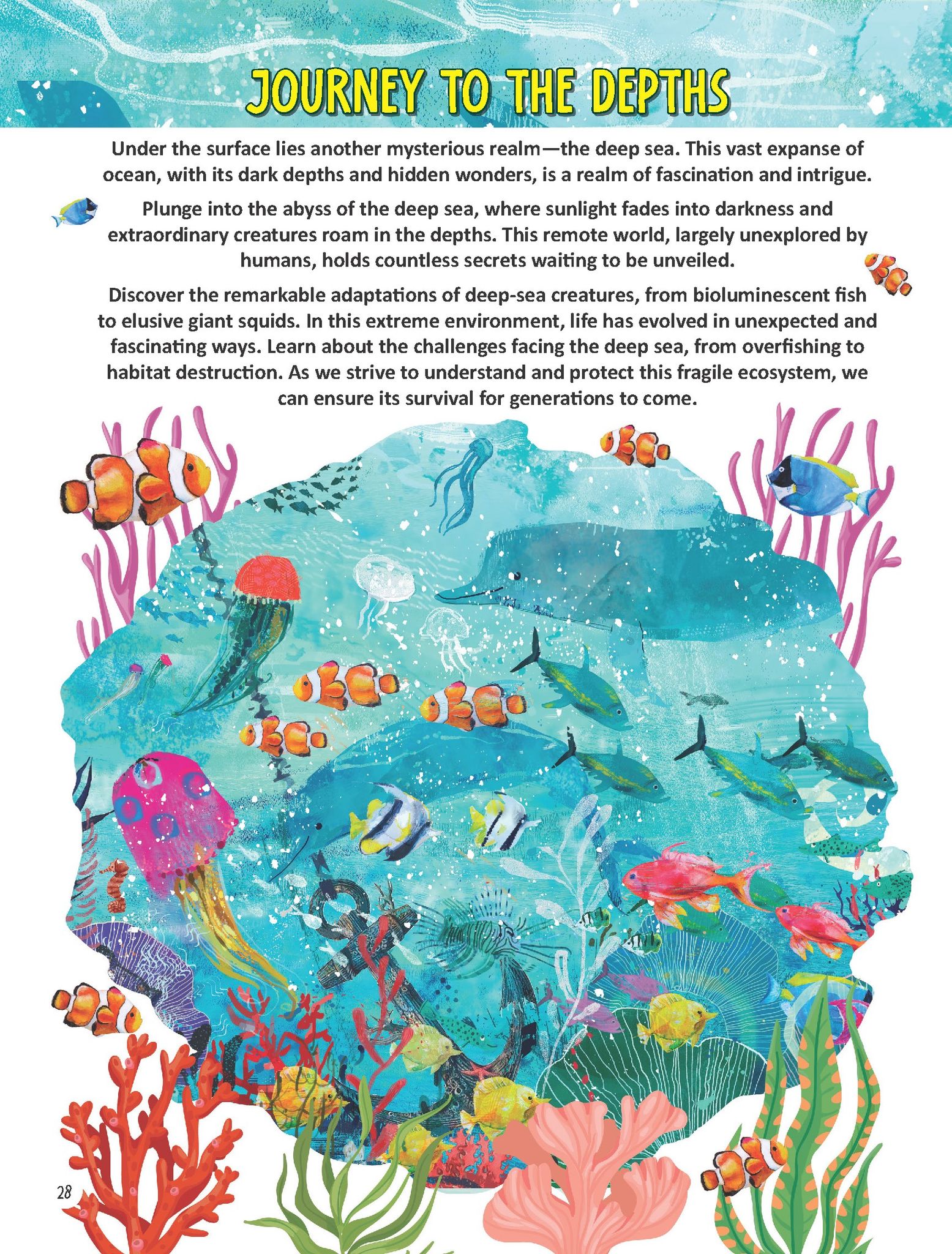 Dreamland Publications Voyages Of Underwater Expedition