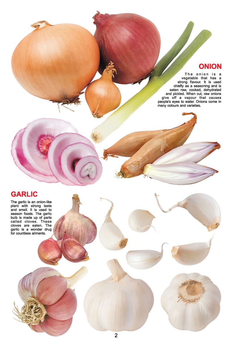 Dreamland Publications - My Jumbo Book - VEGETABLE