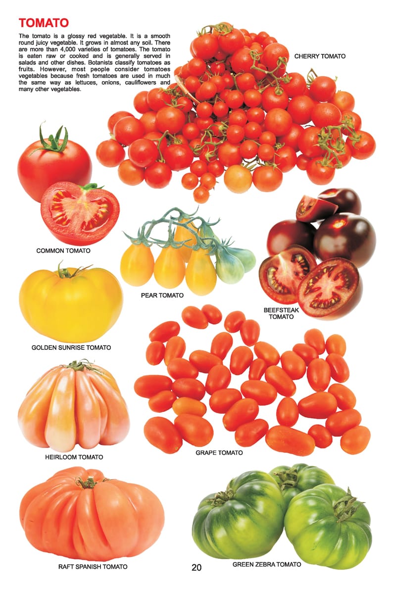 Dreamland Publications - My Jumbo Book - VEGETABLE