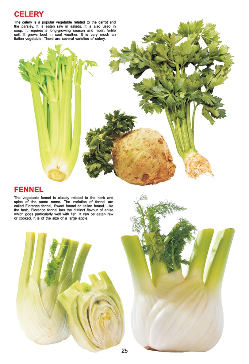 Dreamland Publications - My Jumbo Book - VEGETABLE