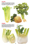 Dreamland Publications - My Jumbo Book - VEGETABLE