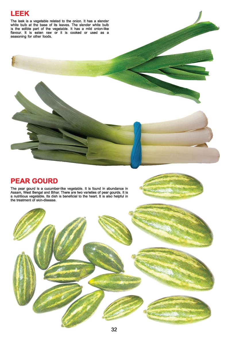 Dreamland Publications - My Jumbo Book - VEGETABLE