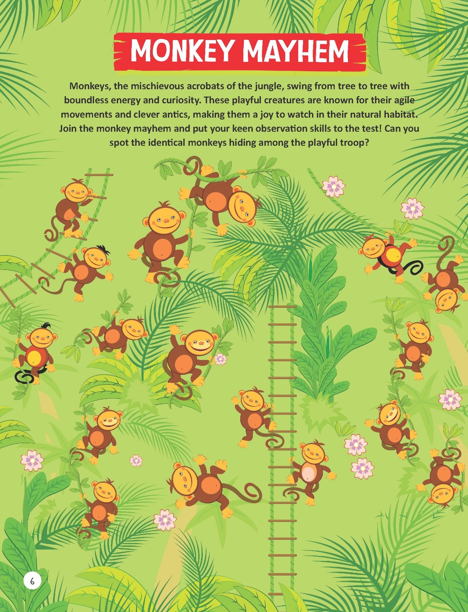 Dreamland Publications Voyages Of Wildlife Wonders