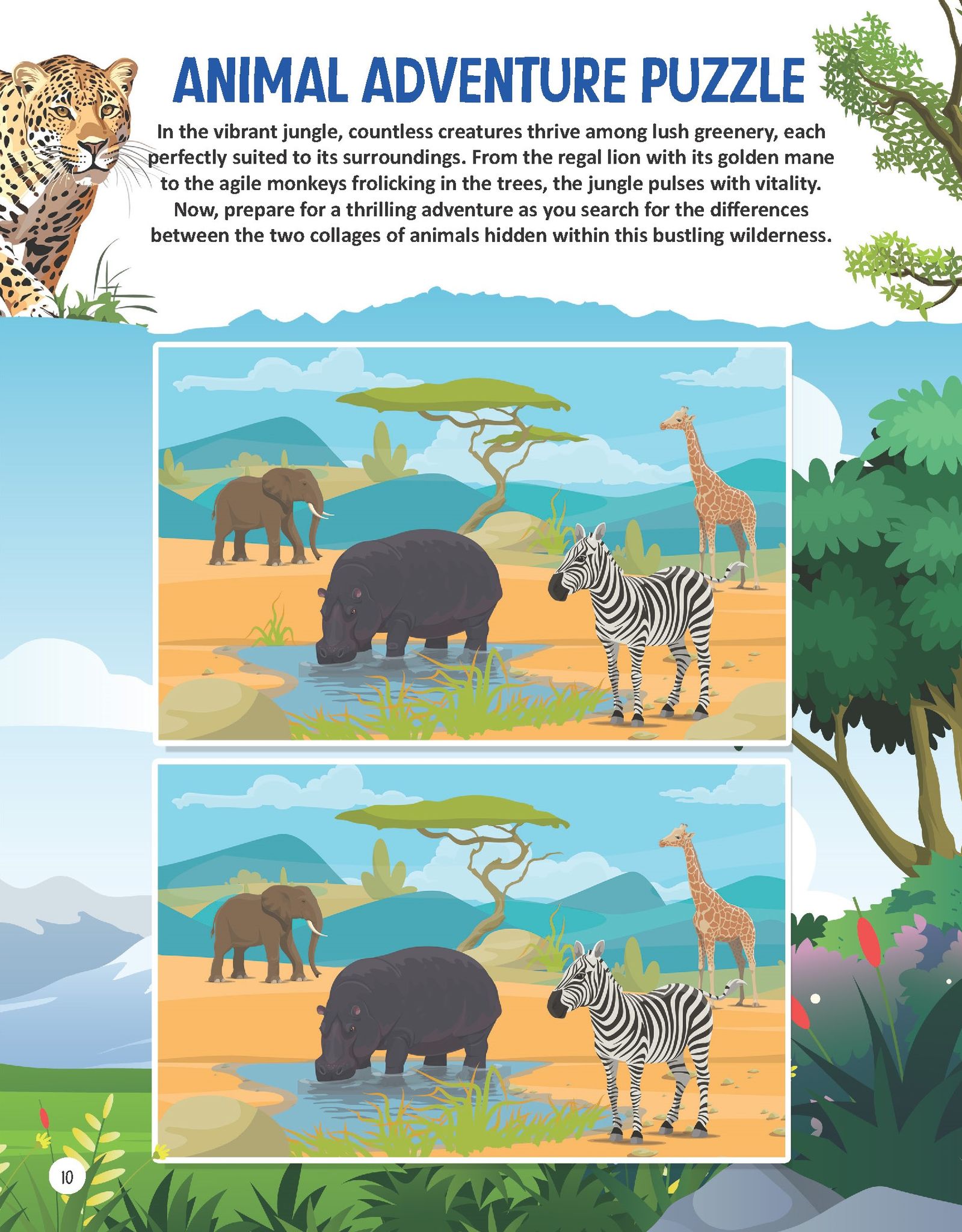 Dreamland Publications Voyages Of Wildlife Wonders