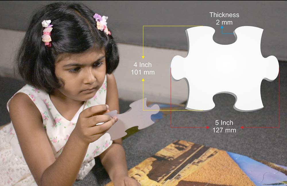 Zigyasaw Amazing India Premium Giant Floor Puzzle
