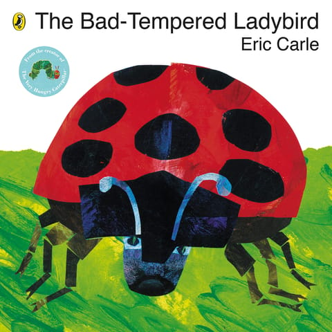 BAD TEMPERED LADYBIRD