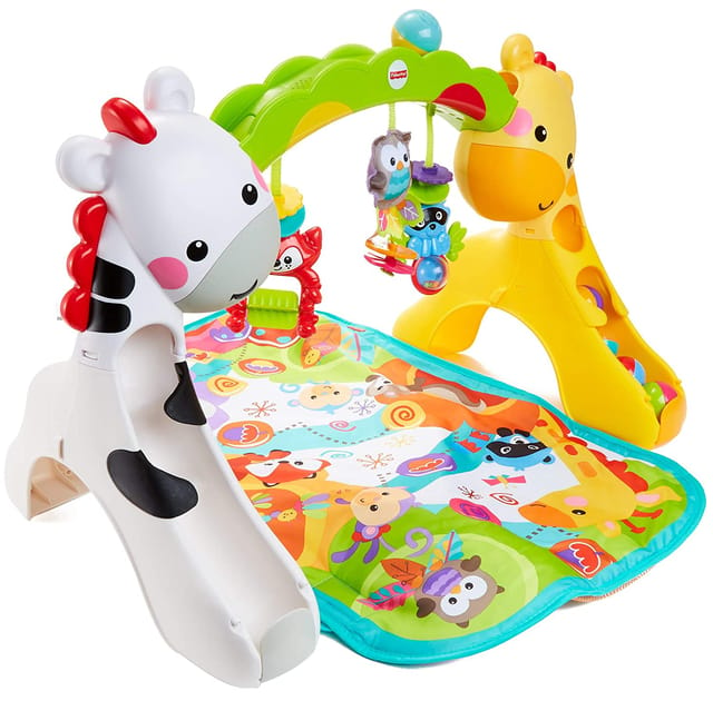 Fisher Price Newborn To Toddler Play Gym