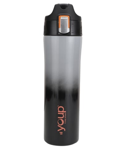 Youp Lexus Thermo Steel Bottle 600ml - Grey