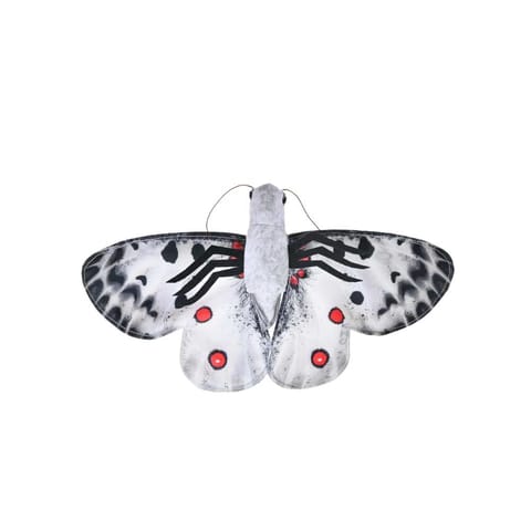 Wild Republic Butterfly Apollo 7 Inch