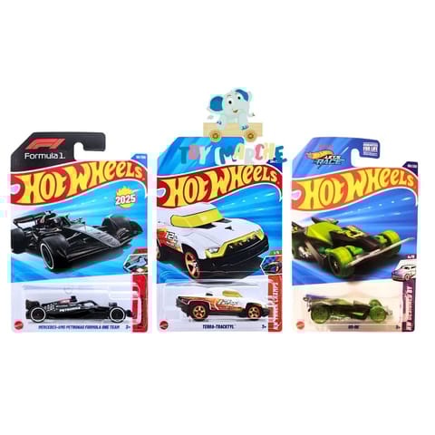 Hot Wheels Mercedes AMG Petronas Formula One Team, Terra Tracktyl And RD-06