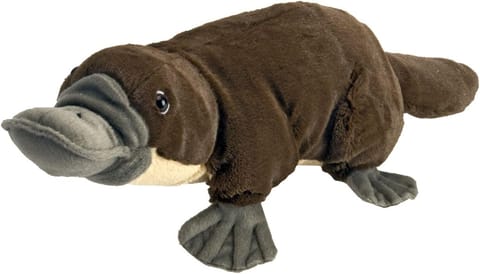 Wild Republic Cuddlekins Platypus 12 Inches