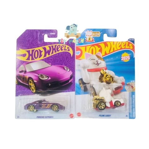 Hot Wheels Porsche Cayman S And Feline Lucky